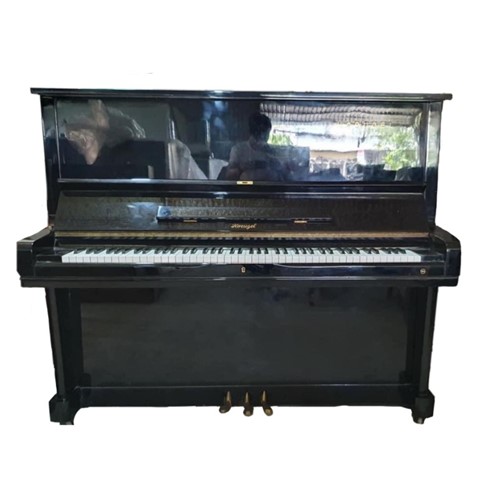 Đàn Piano Cơ Upright Horugel WG9